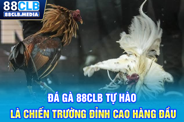 Đá Gà 88CLB Tự Hào Là Chiến Trường Đỉnh Cao Hàng Đầu Đá Gà 88CLB Tự Hào Là Chiến Trường Đỉnh Cao Hàng Đầu